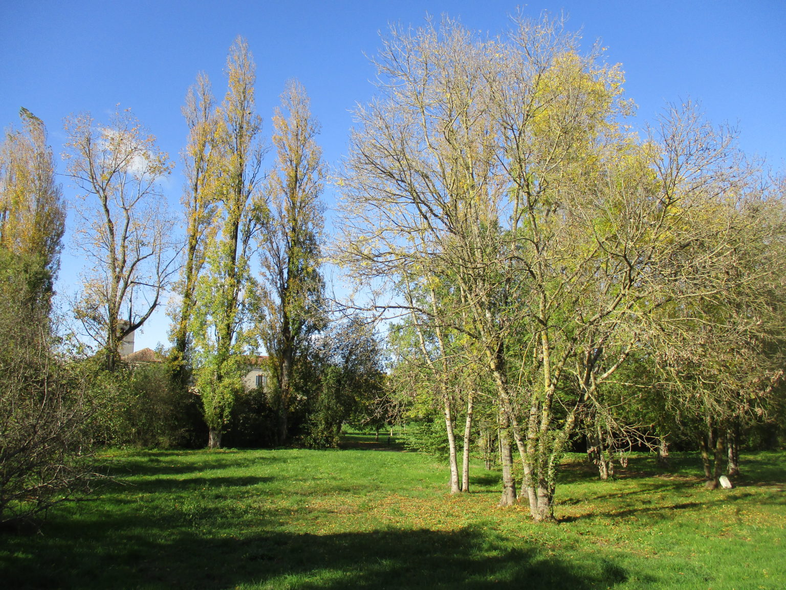 Xambes Commune de Xambes Charente 16330 Galerie de photos