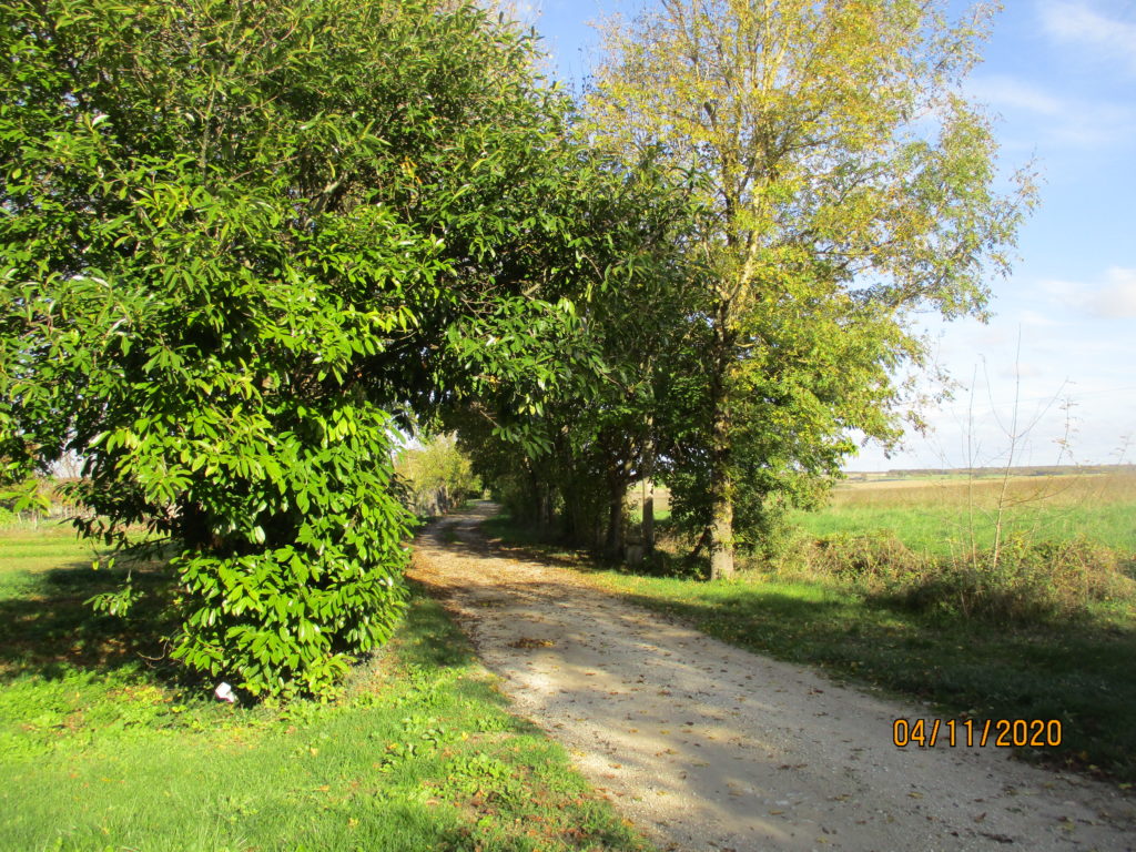 Xambes Commune de Xambes Charente 16330 Galerie de photos